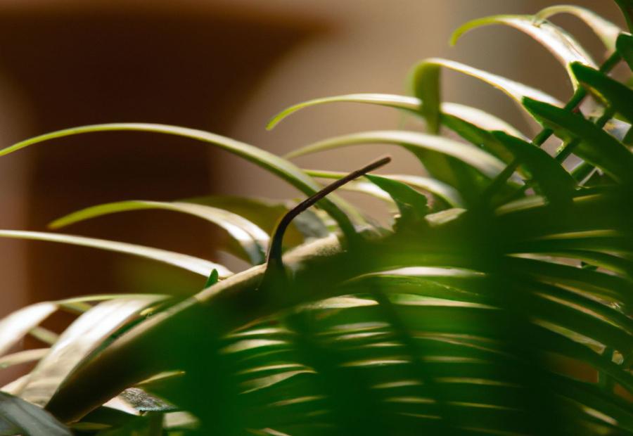 Threatened Species and Conservation Efforts - How Fast Does Ponytail Palm Grow 