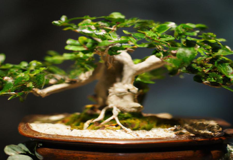 Common Problems and Solutions for Jade Bonsai - How to Bonsai a Jade Plant 