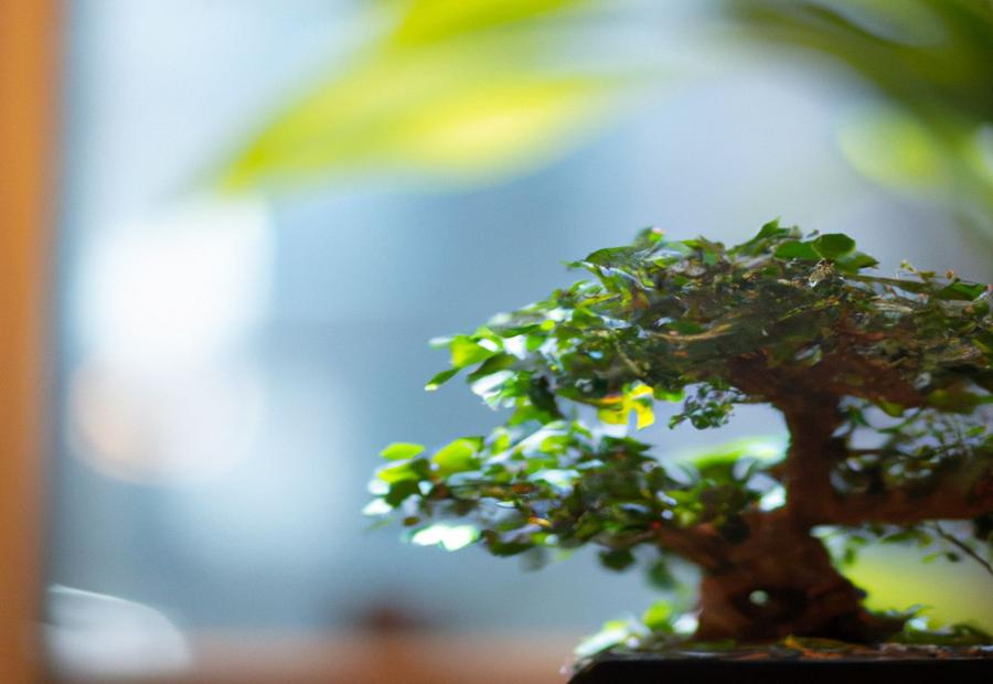 Final thoughts - How to Bonsai a Money Tree 