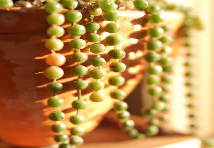 Propagation Methods - How to Care for String of Pearls 