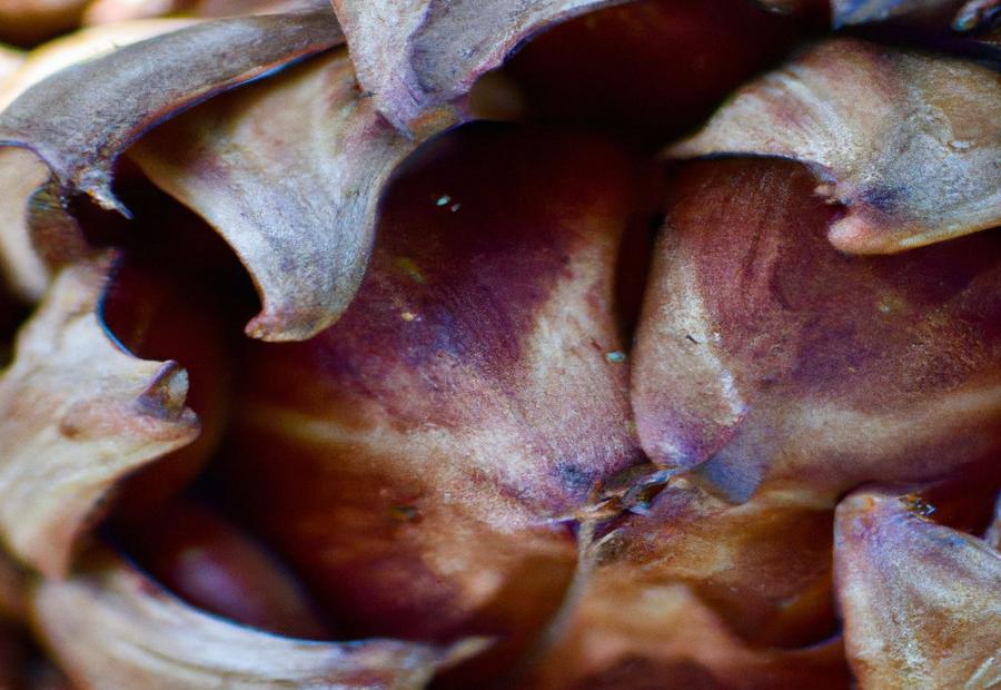 Harvesting and Storing Elephant Ear Bulbs - How to Plant an Elephant Ear Bulb 