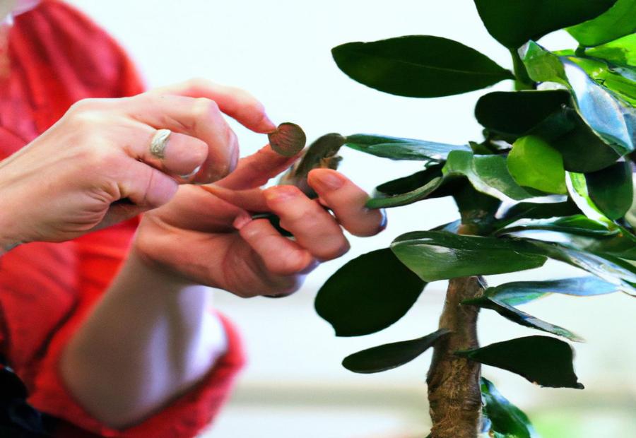 Why is Pruning Important for Money Trees? - How to Prune a Money Tree 