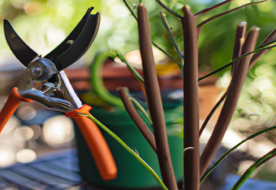 Tools and Equipment Needed for Pruning - How to Prune Mexican Bird of Paradise 