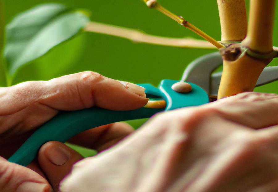 Step-by-Step Guide to Pruning Zz Plant - How to Prune Zz Plant 