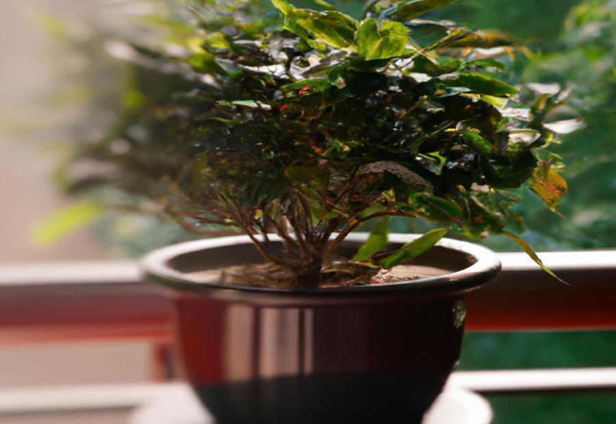 Tips for Caring for Repotted Chinese Evergreen - How to Repot Chinese Evergreen 